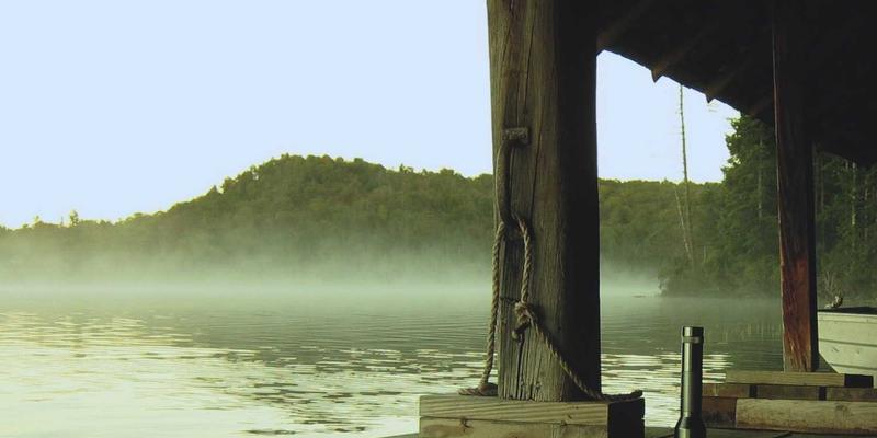 安阳43：一座古都的现代生活密码与便民服务全景