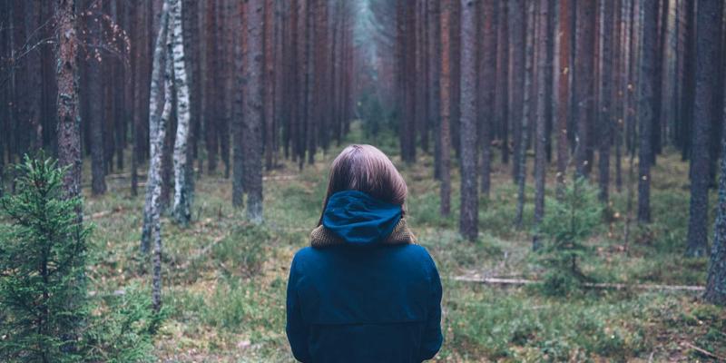 安阳45:一站式掌握安阳信息与便民服务指南