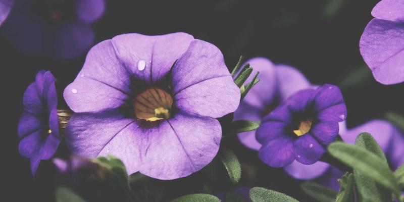 安阳便民服务指南：探访中国文字博物馆，解锁汉字千年演变密码