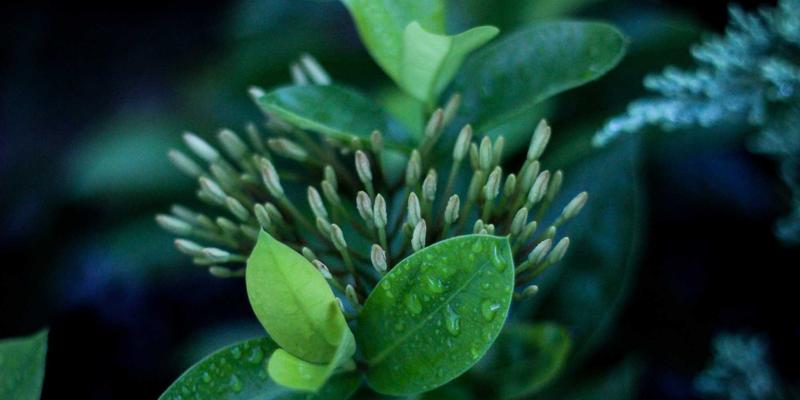 安阳便民服务指南：林虑山国际滑翔伞基地全攻略，本地人带你玩转天空