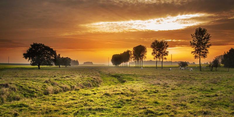 安阳便民服务推荐：深度走访红旗渠亲历者，感悟人工天河奇迹的本地信息指南