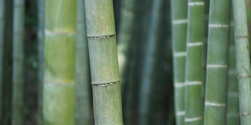 安阳便民服务 | 走访青年洞，感悟红旗渠精神的当代价值与安阳生活启示