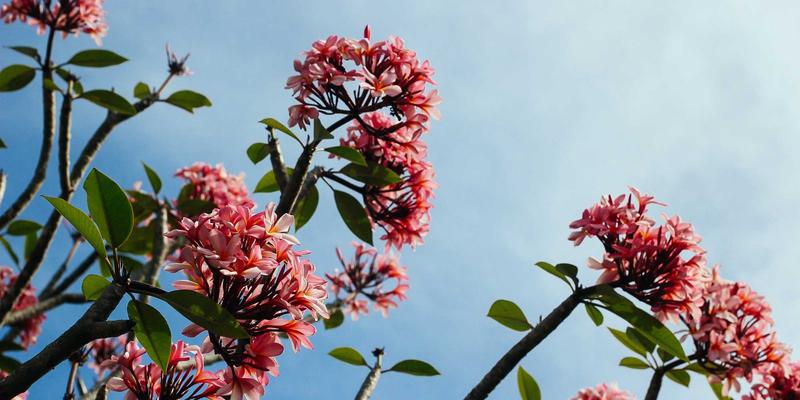 安阳指南：从红旗渠精神到便民服务，探寻一座城市的灵魂与温度