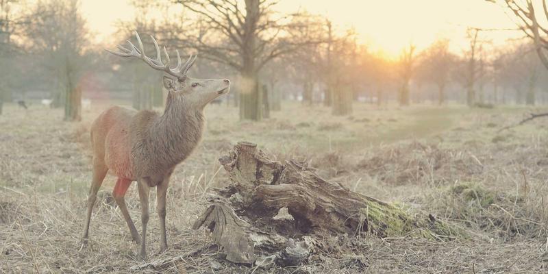 安阳曹操高陵遗址博物馆全指南：揭秘一代枭雄的墓葬之谜与考古发现