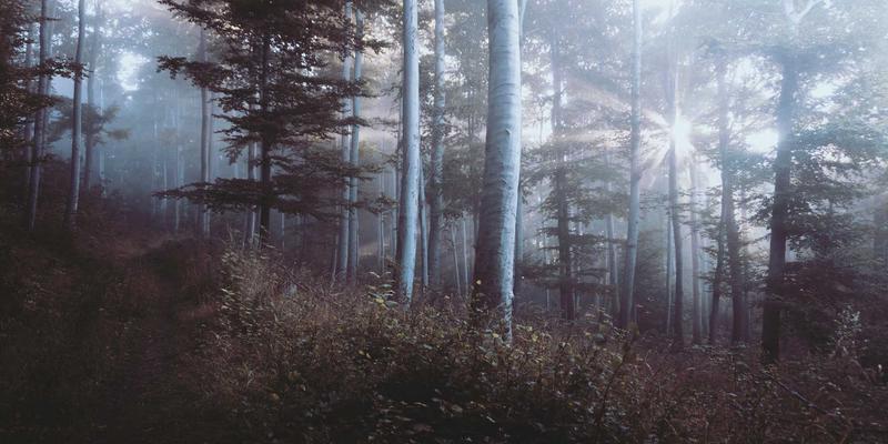安阳曹操高陵遗址博物馆深度游：探寻三国枭雄的葬制与生平