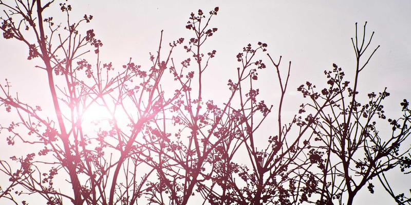 安阳深度指南：从殷墟甲骨到红旗渠精神的千年穿越之旅