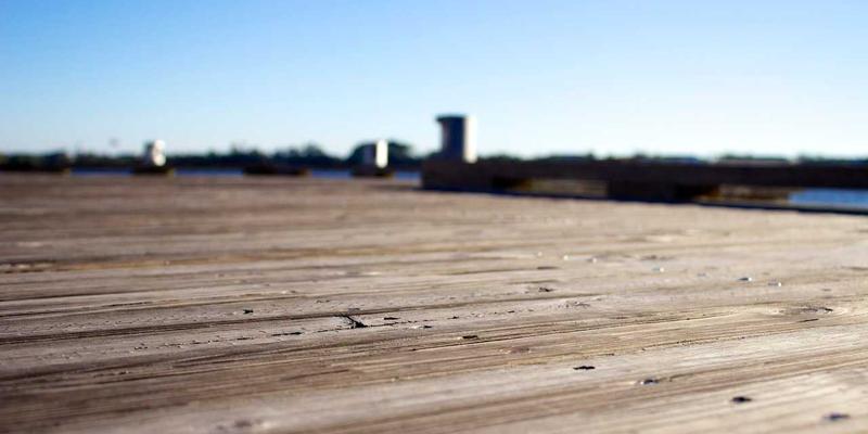 安阳漳河峡谷国家湿地公园：观鸟与生态摄影全攻略 | 安阳指南与便民服务