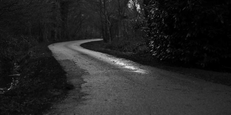 安阳生活寻味记：解密滑县道口烧鸡非遗技艺，百年老字号的美味密码