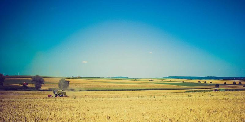 安阳生活指南：探访岳飞庙，在历史建筑中感悟精忠报国精神