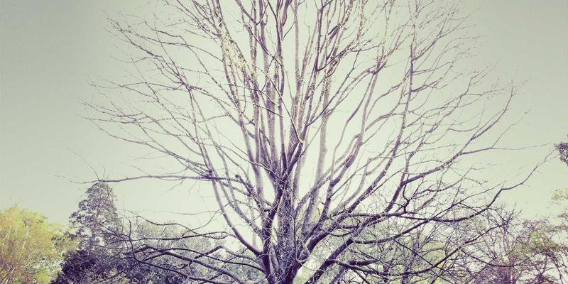 安阳红旗渠精神深度解读：一部水利奇迹背后的安阳便民服务指南